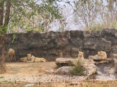 -北京野生动物园