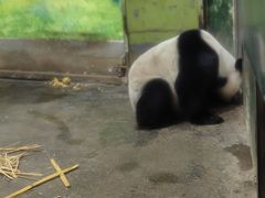-柳州市动物园