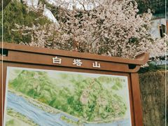 -白塔山公园