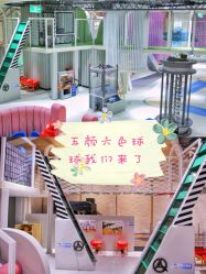 -meland club亲子乐园(石家庄万象城店)