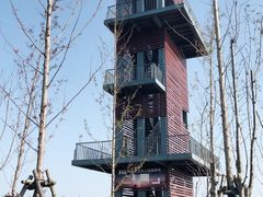 -春花秋色城市公园