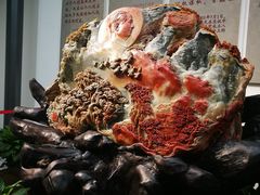 -韶山毛泽东同志故居