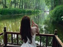 -合肥滨湖国家森林公园