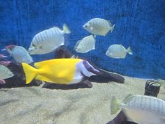 -合肥海洋世界