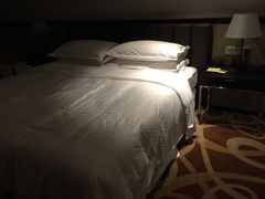 -青岛西海岸隆和福朋喜来登酒店