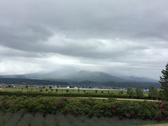 -富田农场