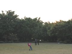 -南宁南湖公园