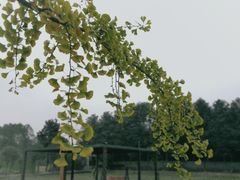 -洪湖家庭农场·团建·露营·会议