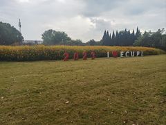 -华东政法大学(松江校区)