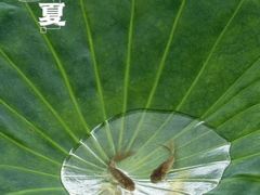 -PGA安瀛高尔夫球俱乐部