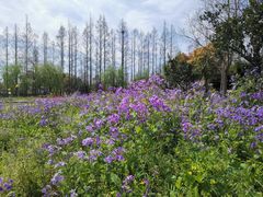 -前小桔亲子创意农场·草莓采摘·露营烧烤