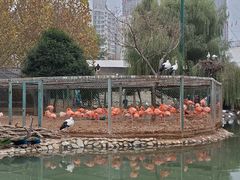 -郑州市动物园