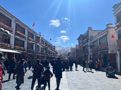-古树酸奶(八廓南街店)