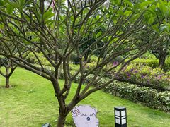 -南宁荔园维景国际酒店·荔园中餐厅