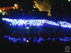 -杭州第一世界大酒店·云曼温泉