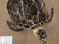 -天津古林古海岸遗迹博物馆