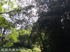 -龙井村