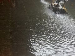 -天津海河悦榕庄·Lobby Lounge大堂吧