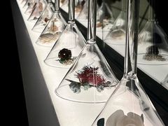 -安屿an·spa(卓悦中心商场店)