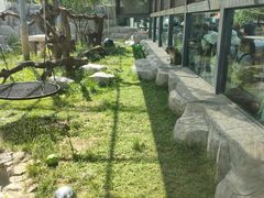 -青藏高原野生动物园