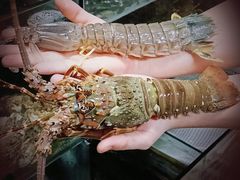 -东记炭炉·海鲜鸡煲(龙华店)