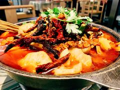 大虾毛肚龙利鱼-大厨小馆(华阳城店)