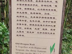 -十八棵（老龙井）御茶园(老龙井店)