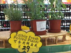 -帝玛进口精品超市D-MART