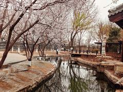 -三里河公园