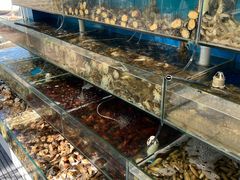 -仙螺岛海鲜自助餐厅(总店)
