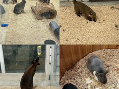 -海合安武汉极地海洋公园