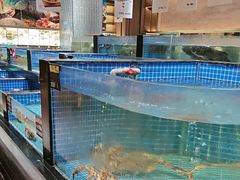-同庆楼(建邺万达店)