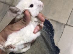 -龙猫仔乐园(惠福东路店)