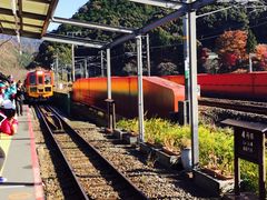 -岚山嵯峨野观光小火车