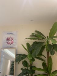 -健身堂科技美肌SPA