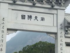 -德记山水豆腐花