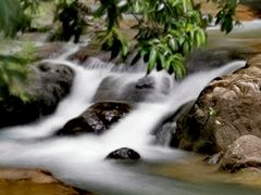 -广州白江湖森林公园