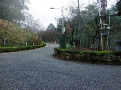 -广州市帽峰山景区