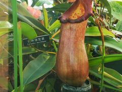 -国家植物园南园