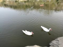 -鹦鹉寺公园