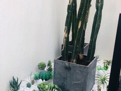 -大树餐厅(红旗街万达店)