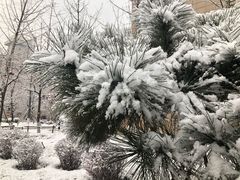 -中国电力科学研究院有限公司