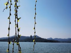 -柳莺湖上·湖景餐厅·江南菜(西湖店)