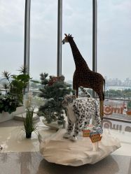 -IMON·HANSA潮玩玩偶毛绒玩具(通州万象汇店)