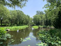 -济南植物园