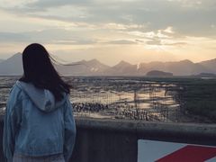 -北岐滩涂