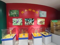 -上海昆虫博物馆