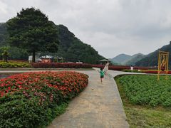 -广州市石门国家森林公园