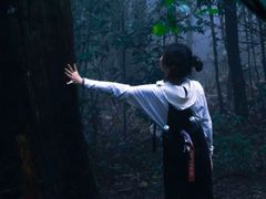 -天目山大树王景区