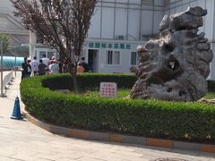 -中国中医科学院望京医院(院本部)